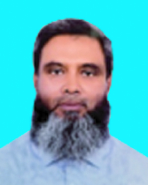 মীর মোজাহিদুর রহমান