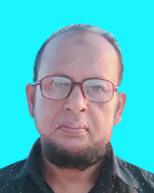 মেজবাহুল ইসলাম সেলিম