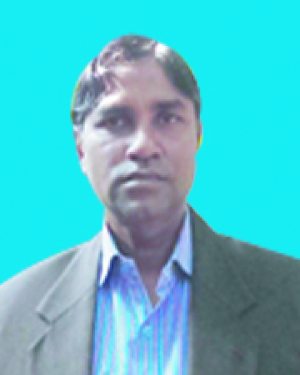 মোঃ নজরুল ইসলাম
