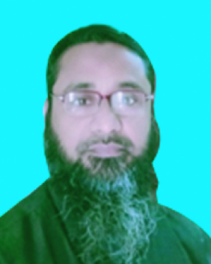 মোঃ আমির হোসেন