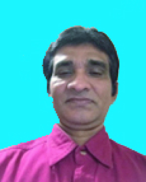 এস.এম. দিদারুল মাওলা